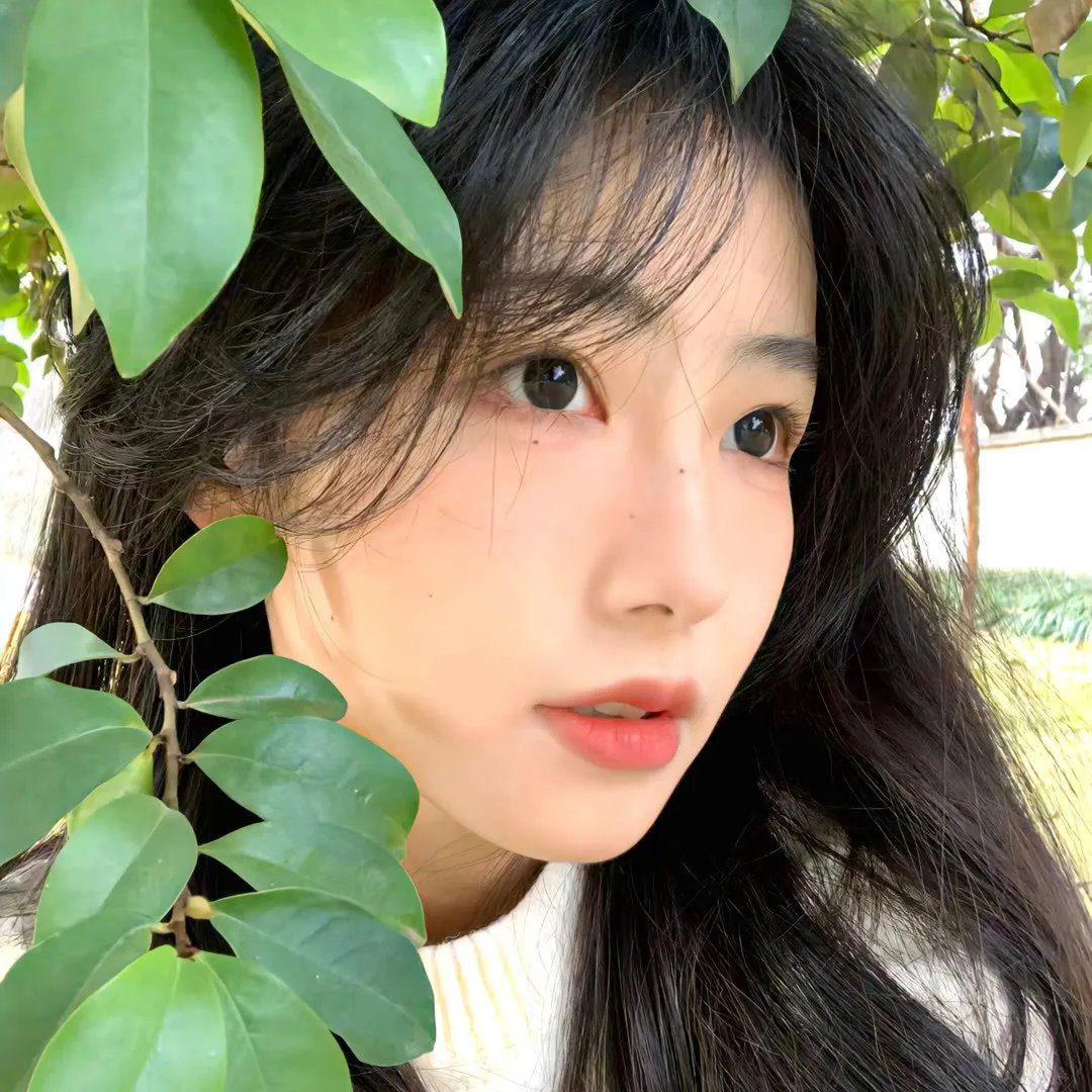 熊出没之丛林总动员